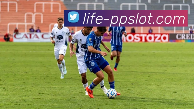 PP极速糖果1000官网平台生态图